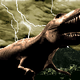 Illustration for article titled The Best, Worst, And Weirdest iJurassic Park/i Games